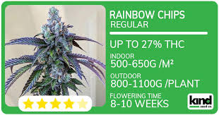 Exploring the Potential of Marijuana Seeds Kansas