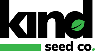 Exploring the Potential of Marijuana Seeds Kansas