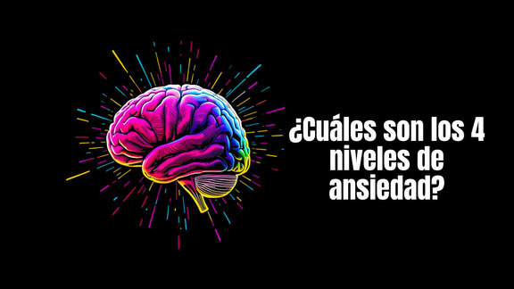¿Cuáles son los 4 niveles de ansiedad?