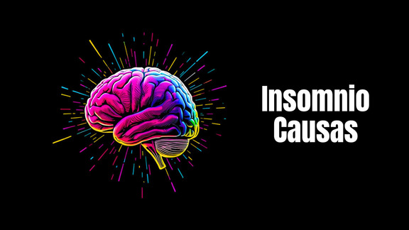 Insomnio Causas